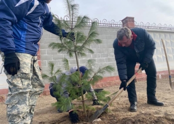 В Бресте 20 марта стартует месячник по благоустройству города
