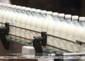 Экспорт продовольствия Брестской области составляет почти треть экспорта всей страны