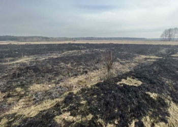 На Брестчине потеплело, сельчане и дачники взялись за пал травы и веток