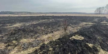 На Брестчине потеплело, сельчане и дачники взялись за пал травы и веток
