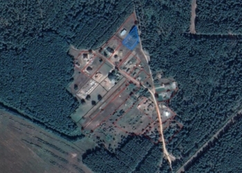 По какой цене участки в Беловежской пуще?