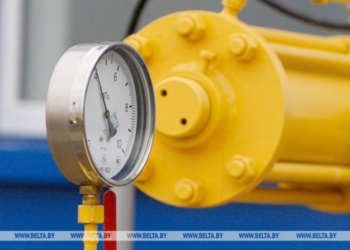 Газопровод начали строить к двум пригородным деревням Жабинковского района