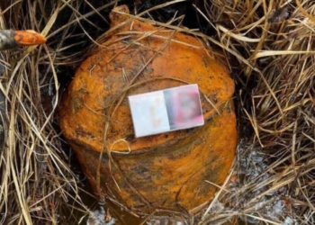 Пограничники нашли три авиабомбы близ границы с Украиной