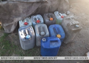 Сельчанин за полгода украл у предприятия более 200 литров дизтоплива