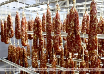 Инвестпроект по строительству колбасного цеха планируют реализовать в Каменецком районе