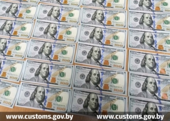 Молодой белорус пытался незаконно ввезти в страну 40 тысяч долларов