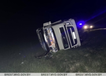 На трассе М-1 в кювет ушла фура