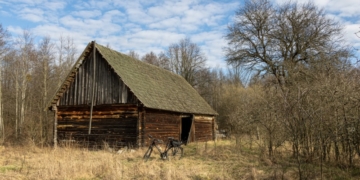 Отселенная жизнь. Как выглядят деревни белорусского Полесья, оставшиеся без людей в 1986-м?..