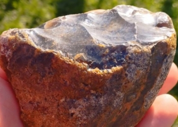 В Брестской области археологи нашли артефакты возрастом около 200 тысяч лет