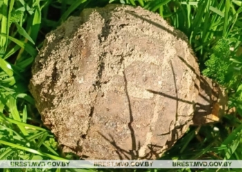 В Каменецком районе на частном подворье обнаружена граната