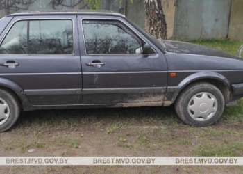 Брестчанин решил выпить по пути домой и поддался искушению «зеленого змия», напав на чужой автомобиль и дом