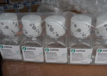 В пункте пропуска «Козловичи» выявили очередной нелегальный груз