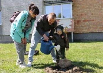 Почему при венчании надевают венцы?