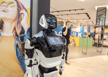 Робот Брест