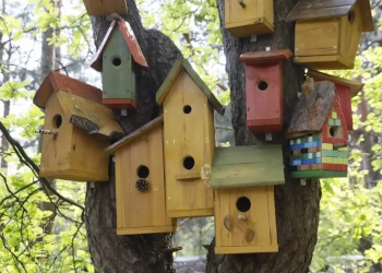 Хутор Покосы