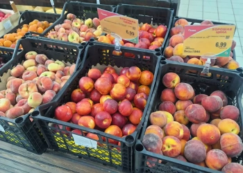 ценник овощи супермаркет