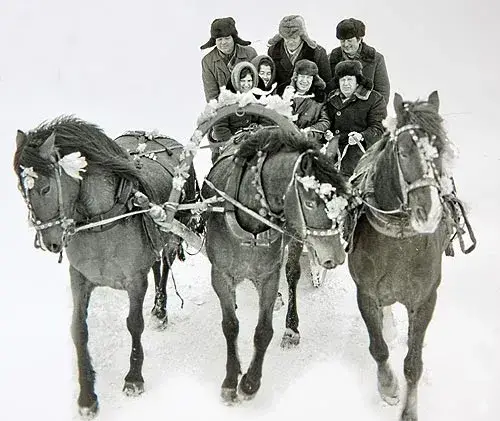 Бедуля Вознесенский