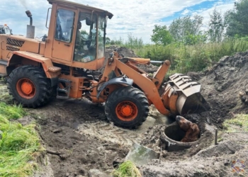 В Пружанском районе достали лошадь из колодца