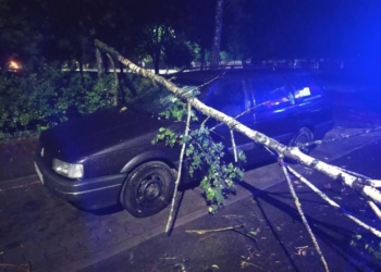 Настоящая стихия прошлась прошлой ночью по Бресту