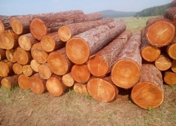 лесоматериалы