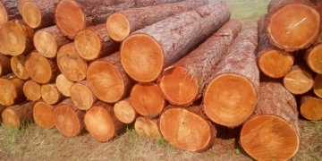 лесоматериалы