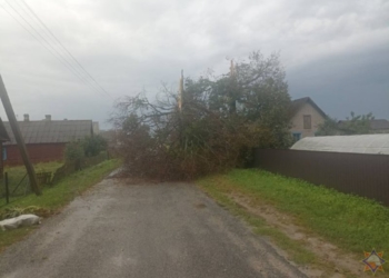 Непогода продолжает приносить неприятности жителям Брестчины