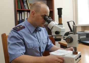 Брестчанка с поддельными дипломами пять лет проработала в организации