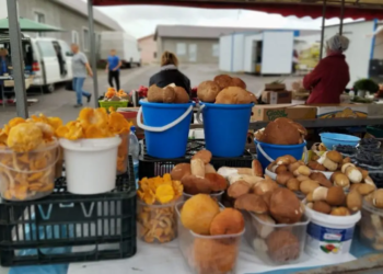 Грибы на рынке