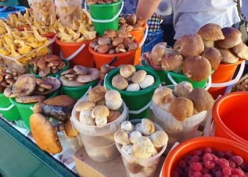 Грибы на рынке