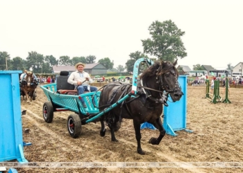 Тизар будет трудиться на «Полесской ниве»