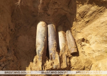 3 авиабомбы и 1 артиллерийский снаряд обнаружены в Дрогичинском районе