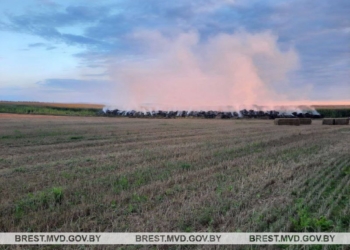 Сельчанин из личной неприязни совершил два поджога скирд соломы