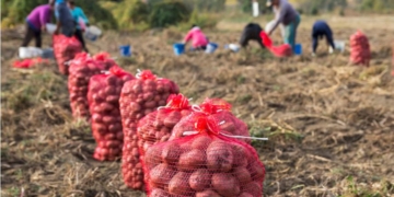 сезонная подработка