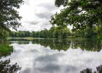 Наловил рыбы на 5 тыс. рублей и один год