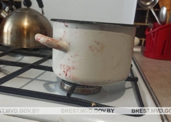 В Пинске пьяный сын угрожал убийством матери