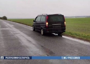 На Брестчине задержаны нелегалы и организаторы канала незаконной миграции