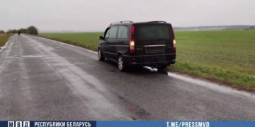 На Брестчине задержаны нелегалы и организаторы канала незаконной миграции