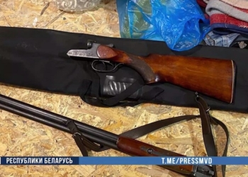 Милиция изъяла целый арсенал оружия в Пинском районе