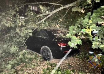 Шквалистый ветер валил деревья и разрушал строения и в Брестской области
