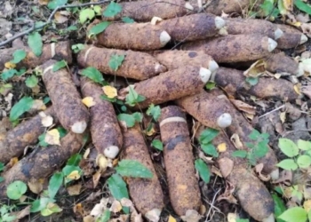 20 снарядов 155 калибра обнаружены в Ляховичском районе