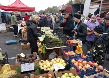 Как проходит ярмарка на площадке у ТРЦ «Экватор» (фотофакт)