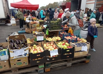 Как проходит ярмарка на площадке у ТРЦ «Экватор» (фотофакт)