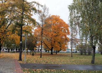 В объективе осень… ФОТОРЕПОРТАЖ