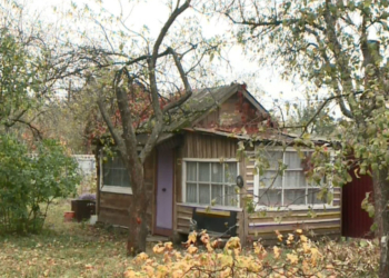 В милиции отмечают значительное снижение краж на дачах