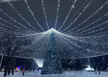 Сегодня вечером в Парке Мира включают новогоднюю иллюминацию
