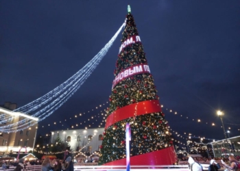 «Сияй, свети, гори!..» В Бресте зажгли новогодние ёлки