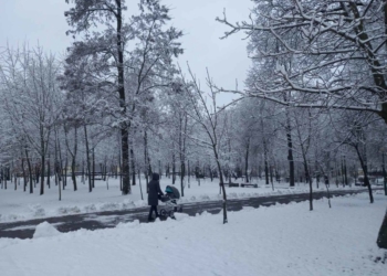 2024-й на второй день правления порадовал брестчан снегом