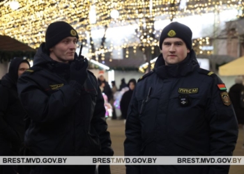 Милиция сообщает, что новогодняя ночь на Брестчине прошла спокойно