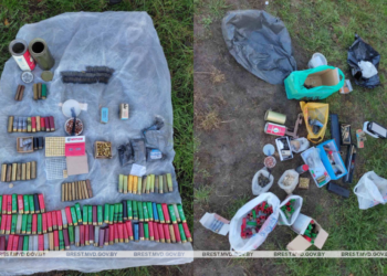 В Ивановском районе задержан мужчина за незаконное хранение патронов и бездымного пороха