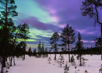 Мурманская область